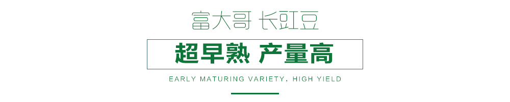 详情页.jpg
