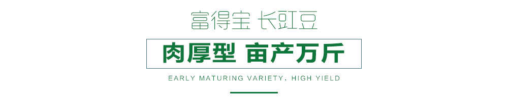 详情页.jpg