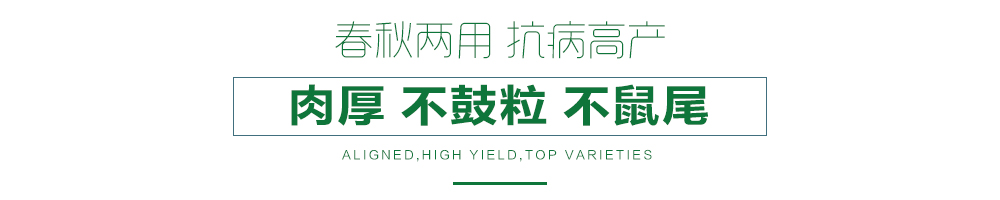 详情页21.jpg