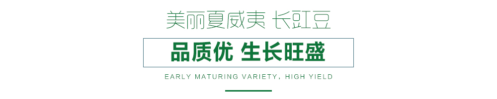 详情页.jpg