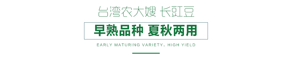 详情页.jpg