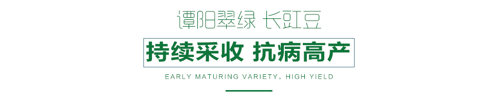 详情页.jpg