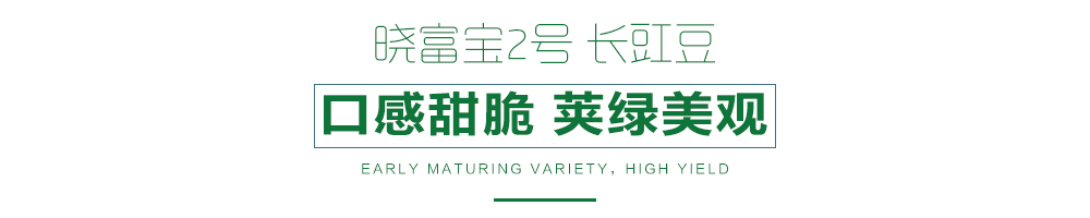 详情页.jpg