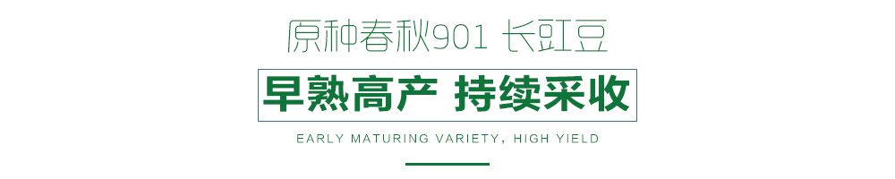 详情页.jpg