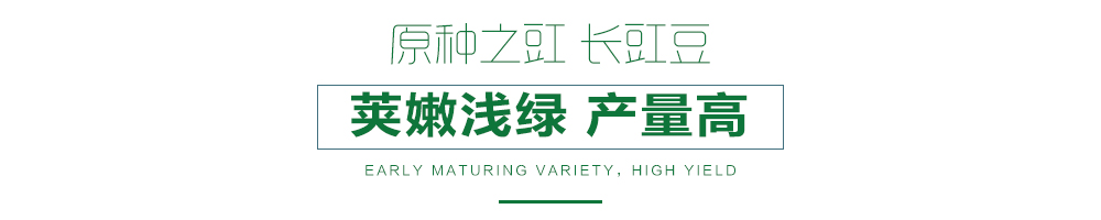 详情页.jpg