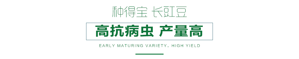 详情页.jpg