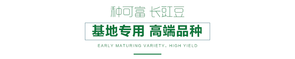 详情页.jpg