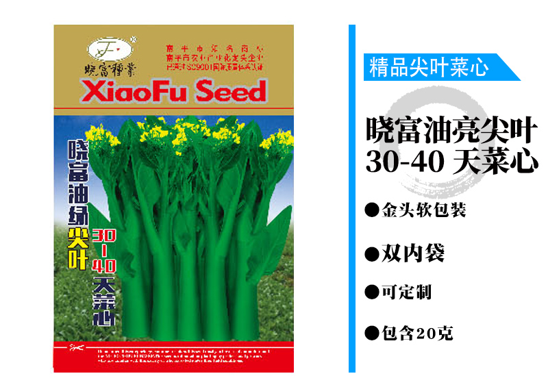 晓富油亮尖叶30-40天菜心.jpg