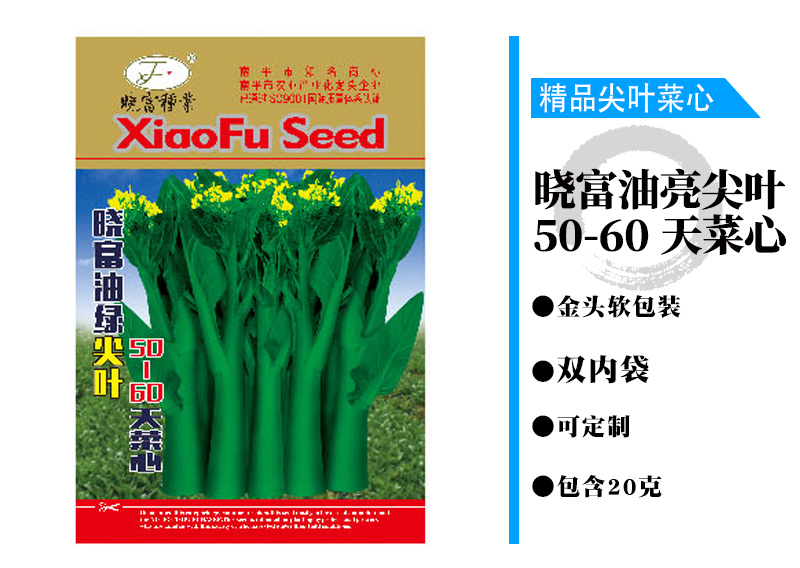 晓富油亮尖叶50-60天菜心.jpg