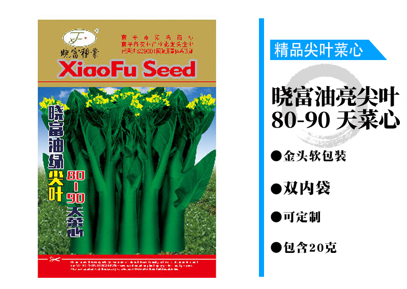 晓富油亮尖叶80-90天菜心.jpg