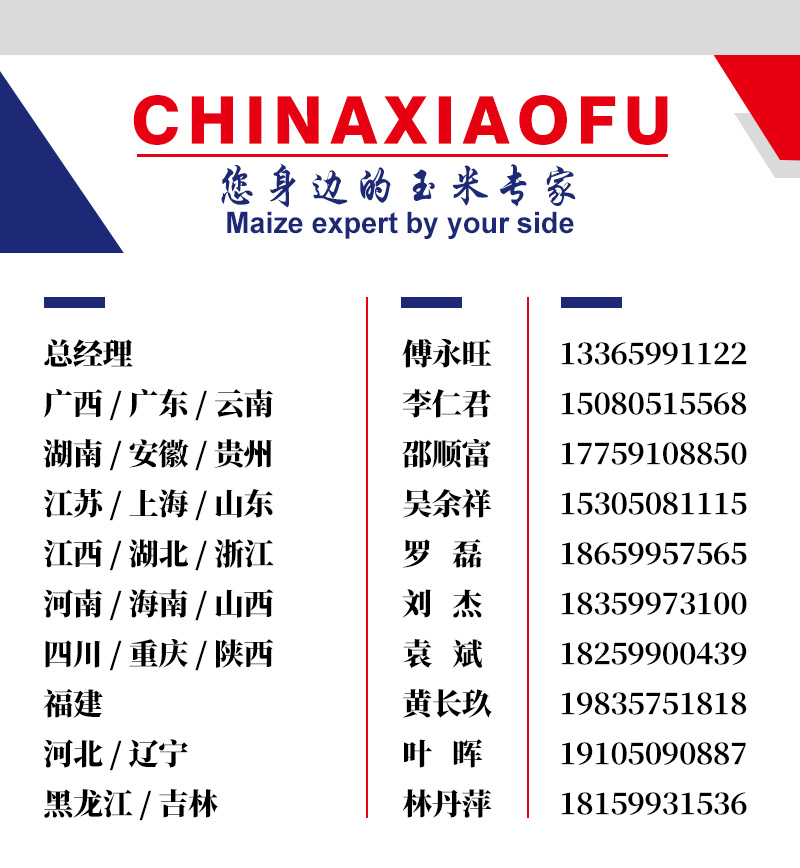 你身边的玉米专家.jpg
